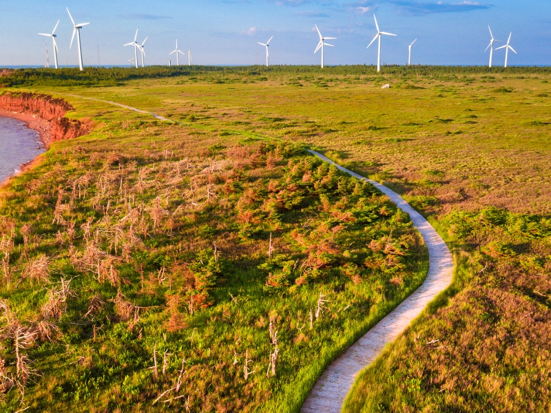 North Cape, wind turbines, road, cliffs, ocean 